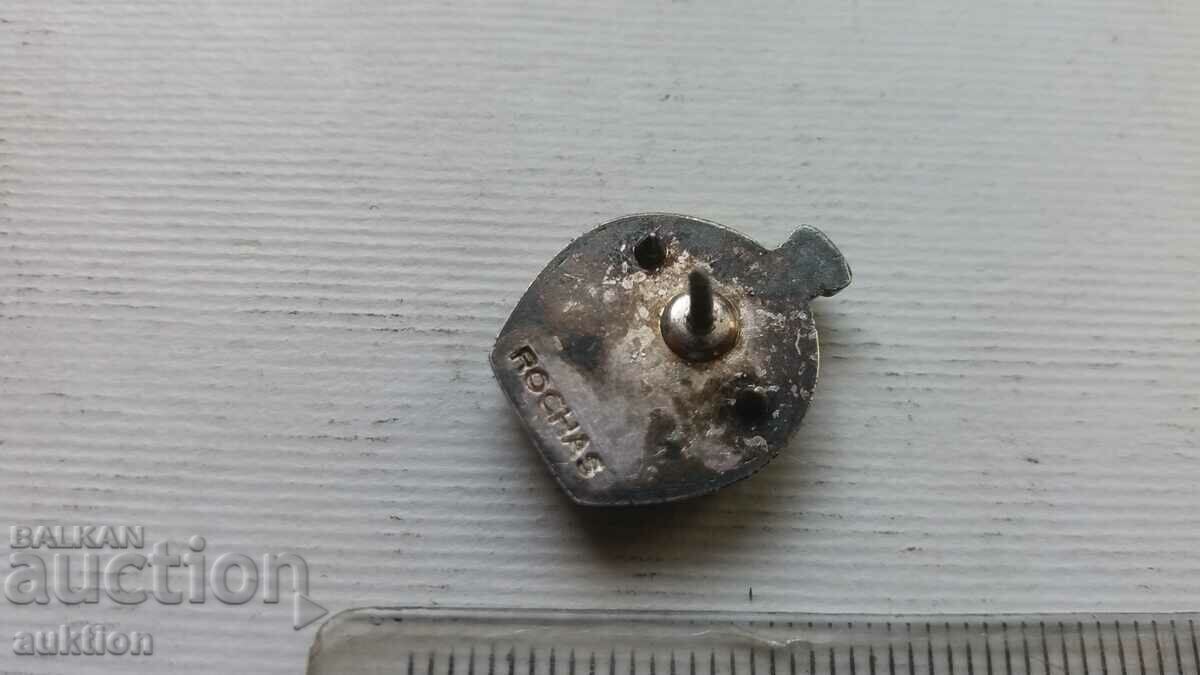 SILVER PLATED GLOBE BADGE - 6 SILVER PLATED GLOBE BADGE - 6