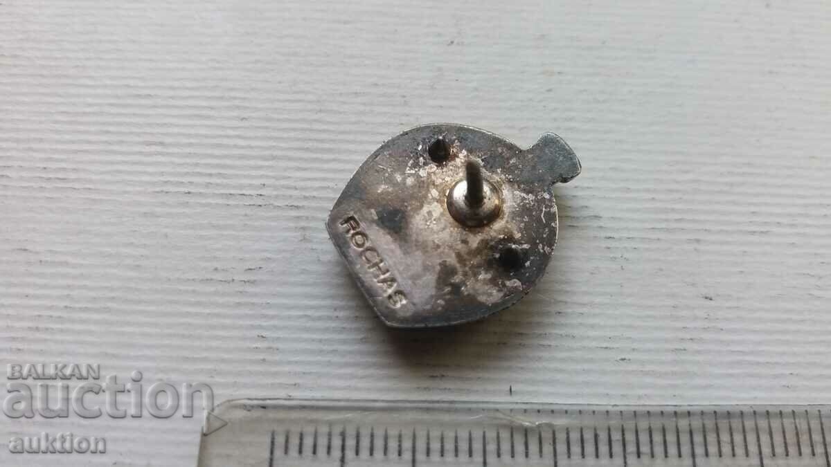 SILVER PLATED GLOBE BADGE - 7 SILVER PLATED GLOBE BADGE - 7