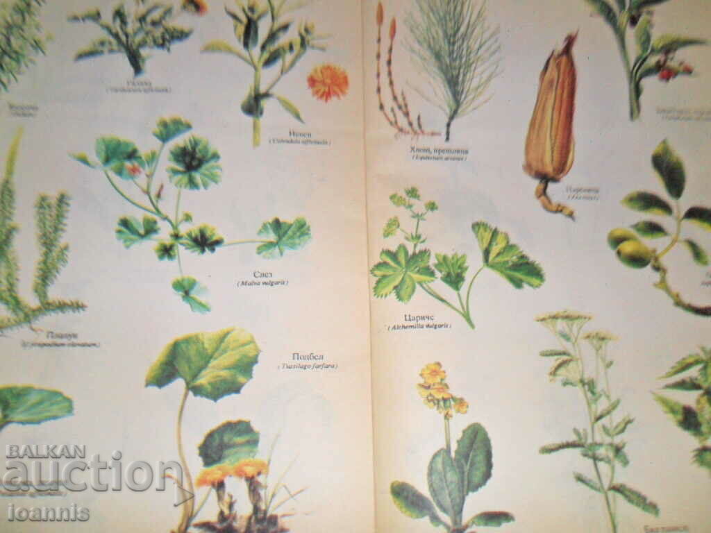 Two books on naturopathy with price 30.00 BGN | € 15.34 Two books on naturopathy with price 30.00 BGN | € 15.34