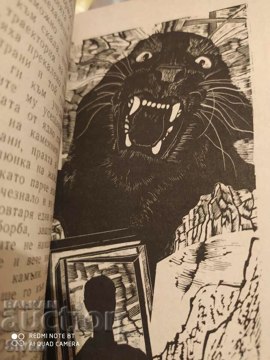 Auction  A worm under an autumn wind, Lyubomir Nikolov, first edition, illus