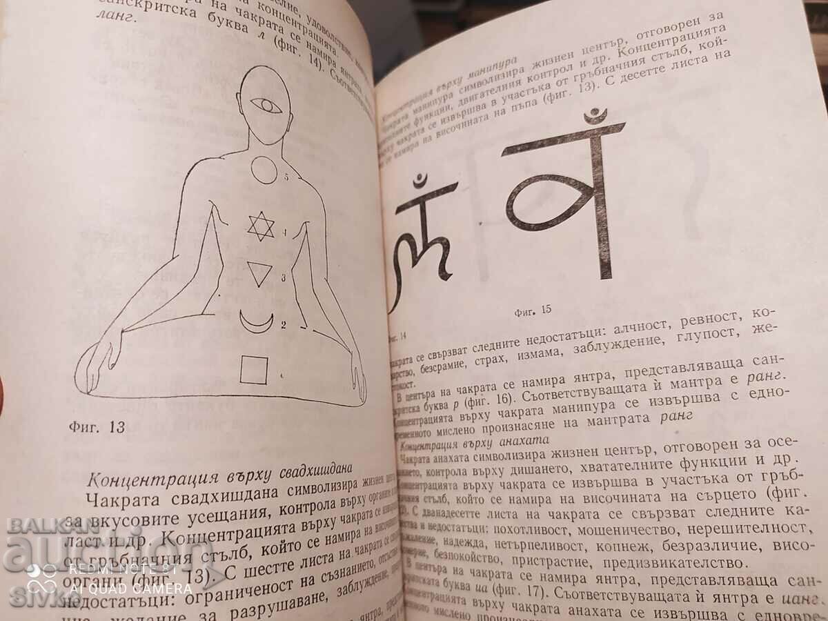 Auction Self-suggestion in ancient times and today, Nikola Petrov, first ed Auction Self-suggestion in ancient times and today, Nikola Petrov, first ed