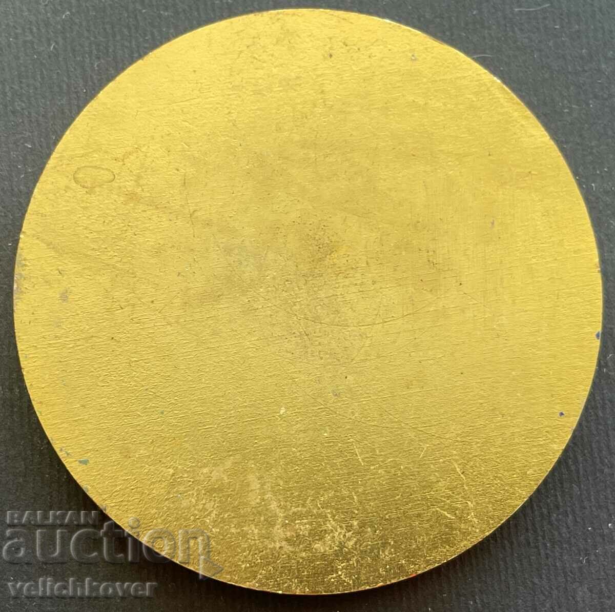 35079 Bulgaria plaque 70 years. Bulgarian Ski Sports Federation with price 15.00 BGN | € 7.67