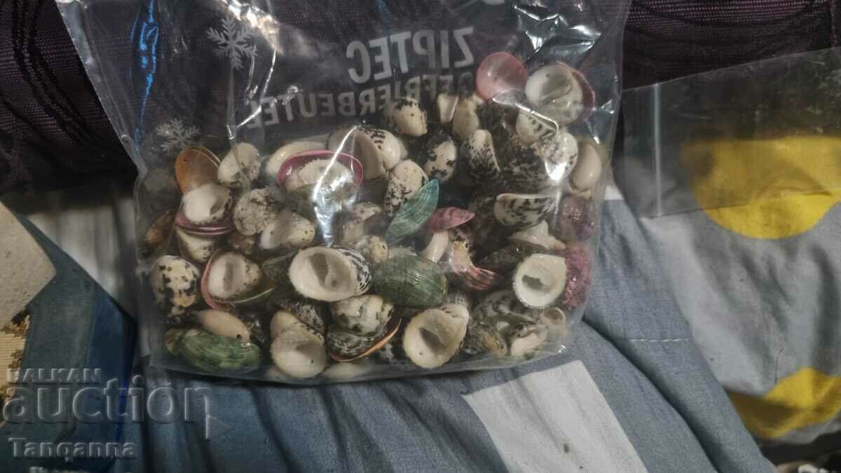 Lots of beads - 6 Lots of beads - 6