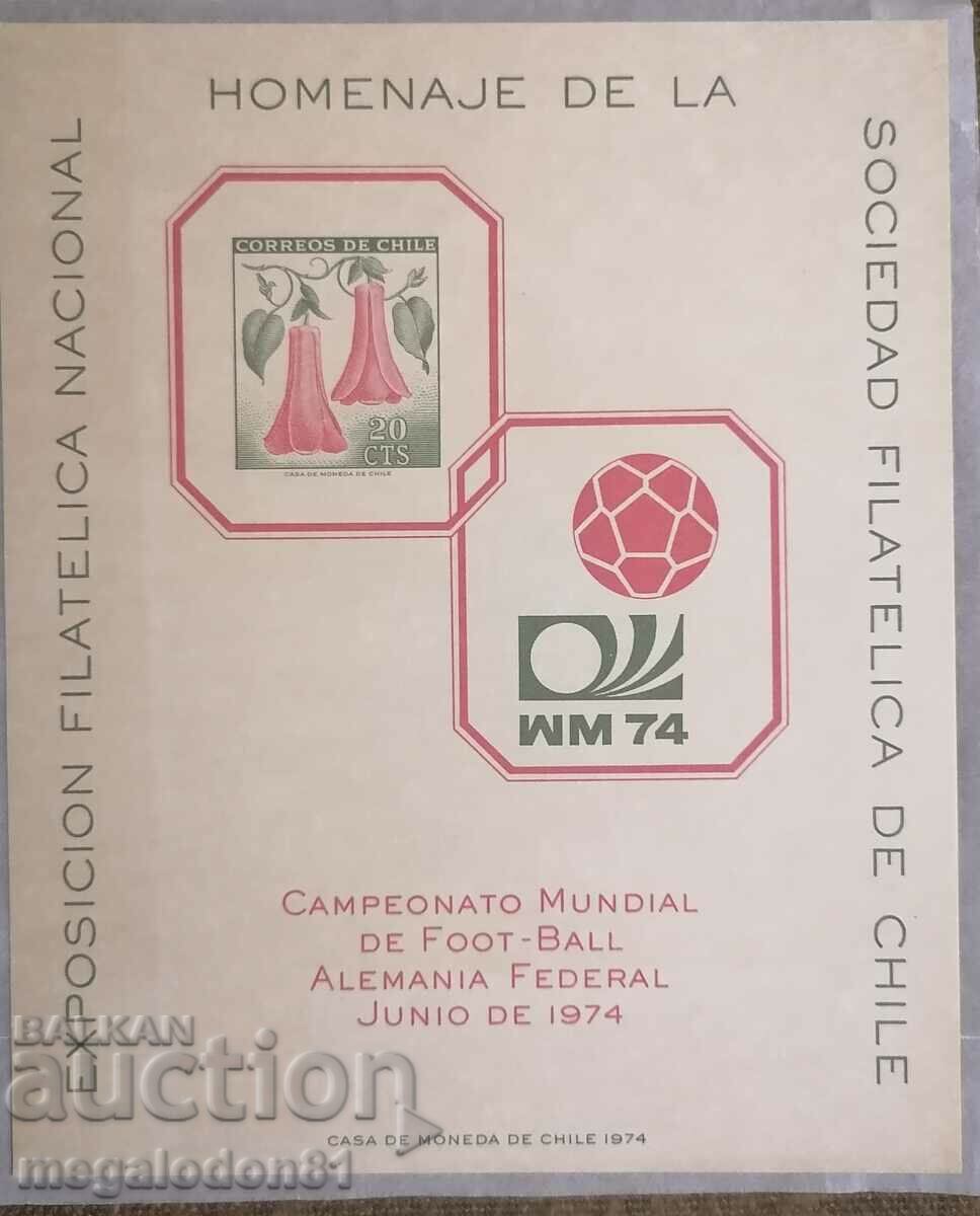 Чили - блок  СП по футбол Германия , 1974г.