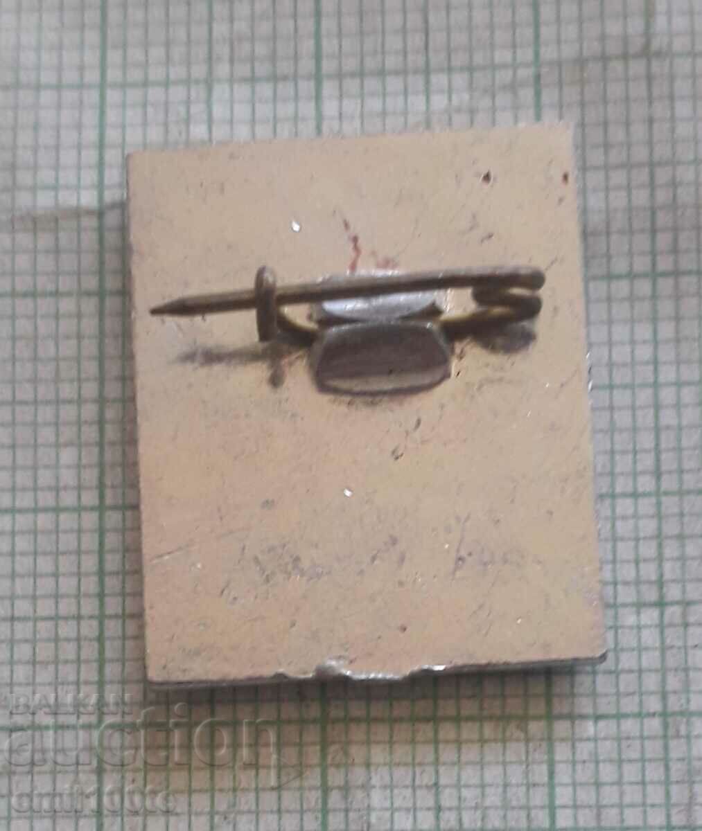 Delivery of Badge - DOSAAF USSR For excellent training Delivery of Badge - DOSAAF USSR For excellent training