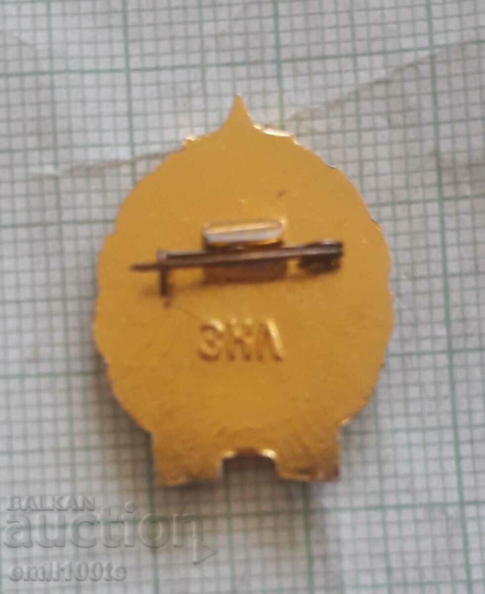 Delivery of Badge - Sanitary squad of the USSR Delivery of Badge - Sanitary squad of the USSR