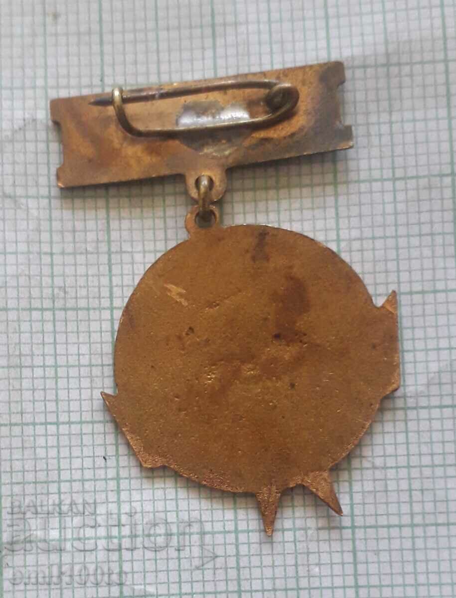 Delivery of Pioneer badge - Steamer Radetsky 1966