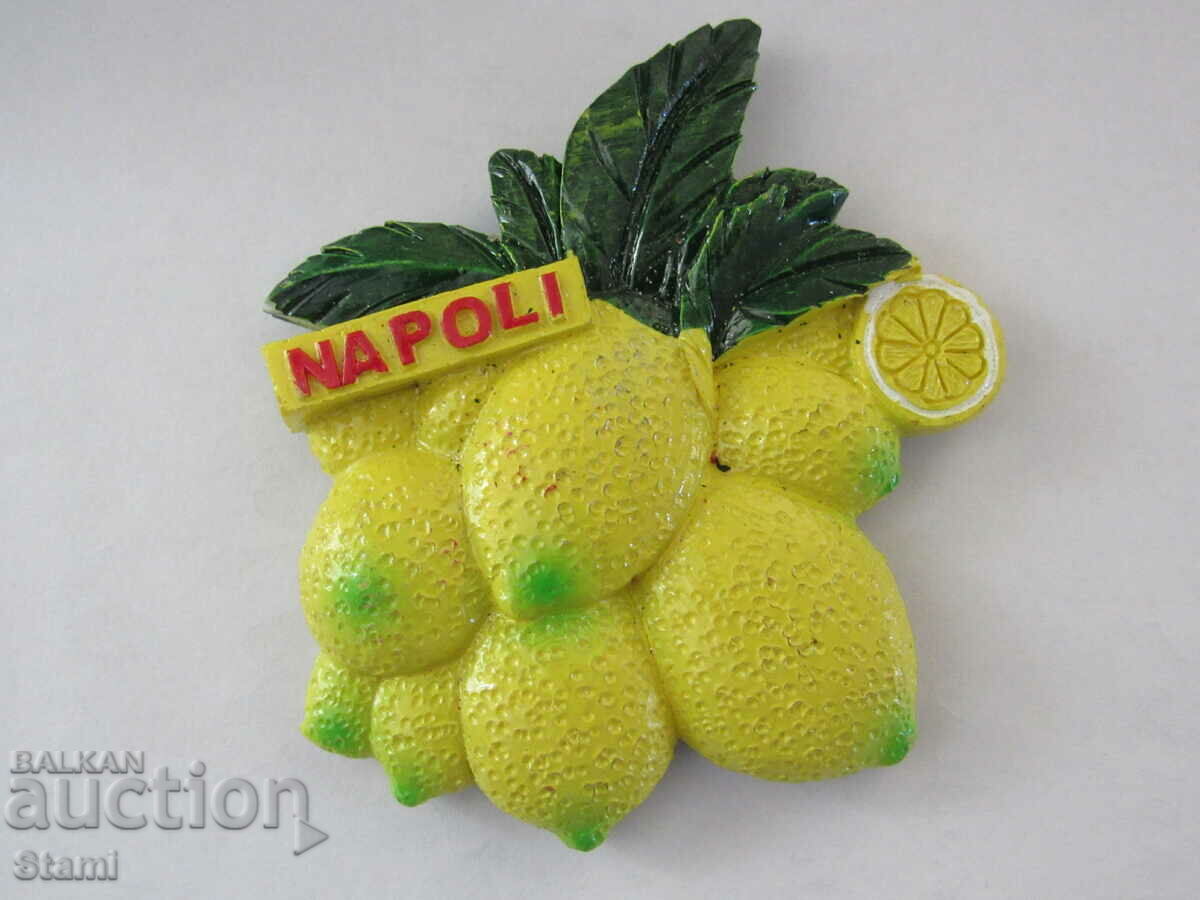 Auction Magnet from Naples, Italy-11 Auction Magnet from Naples, Italy-11