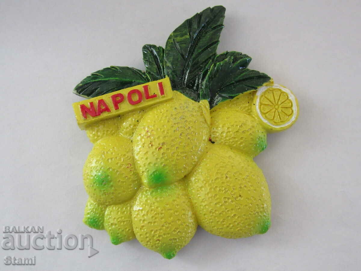 Delivery of Magnet from Naples, Italy-11 Delivery of Magnet from Naples, Italy-11