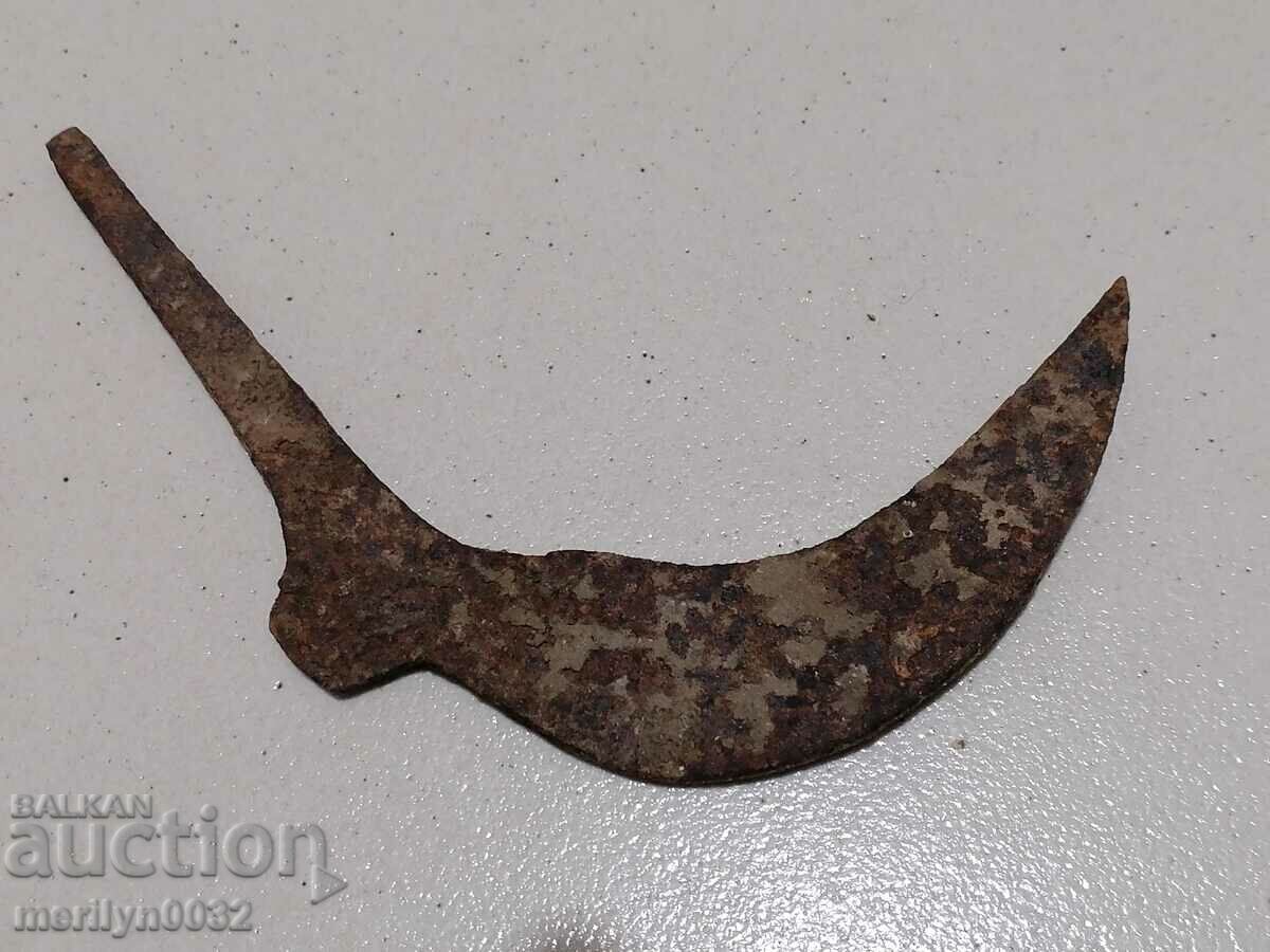 Auction  Kosher agricultural tool