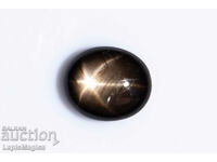 Black Star Sapphire 1.06ct 6-ray star oval cabochon