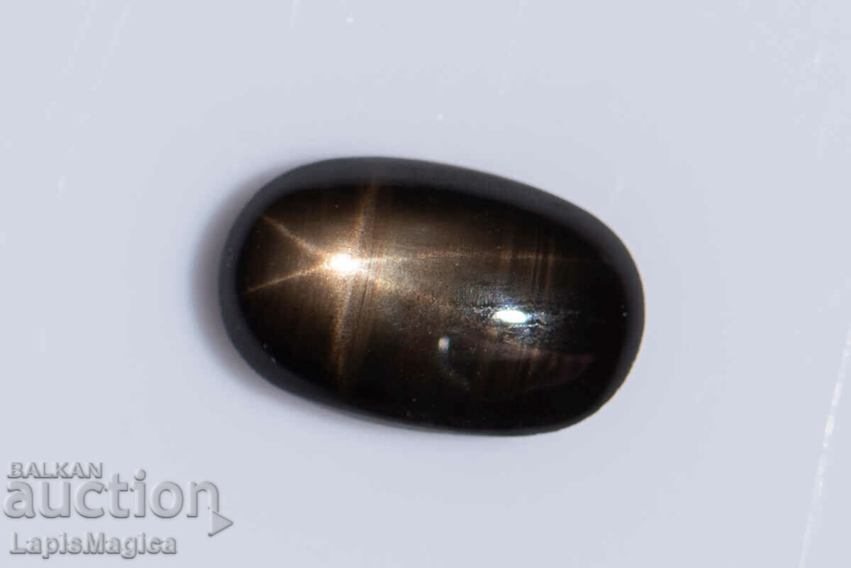 Black Star Sapphire 1,37ct 6-ray star οβάλ cabochon