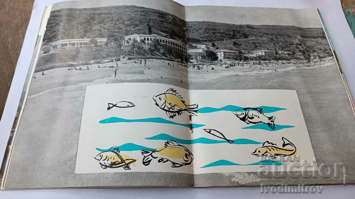 Delivery of Varna and Golden Sands Resorts Delivery of Varna and Golden Sands Resorts