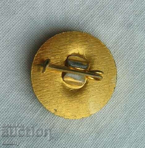 Badge - ZMM Silistra, 1985 with price 2.50 BGN | € 1.28 Badge - ZMM Silistra, 1985 with price 2.50 BGN | € 1.28