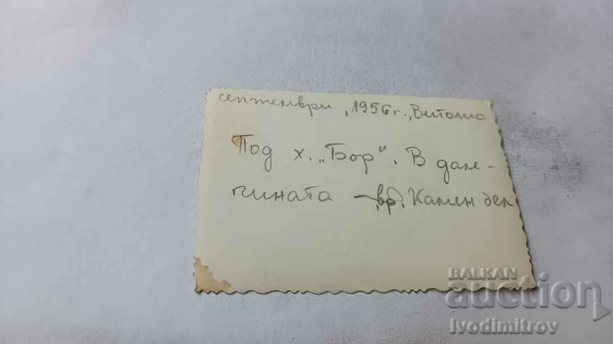 Photo Vitosha Mladezhi and a girl under the Bor hut 1956 with price 1.65 BGN | € 0.84 Photo Vitosha Mladezhi and a girl under the Bor hut 1956 with price 1.65 BGN | € 0.84