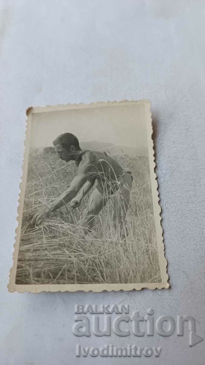 Φωτογραφία Στρατιώτης με σορτς σε χωράφι με σιτάρι