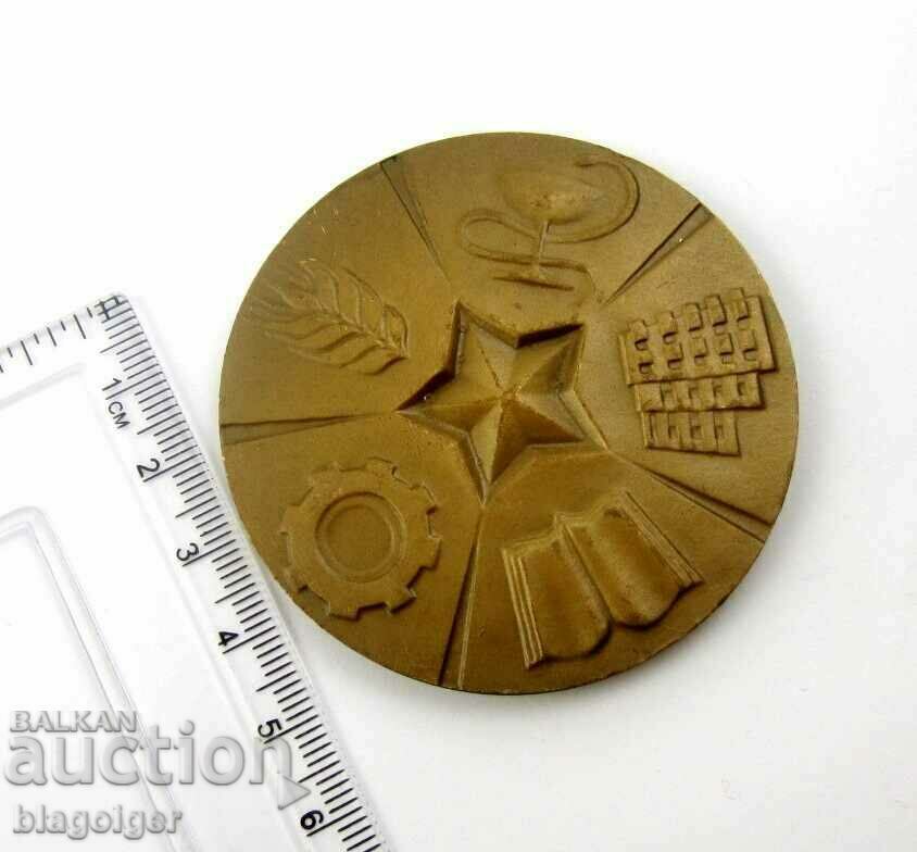 For services to the people's councils-Pazardzhik-Sots-Plaket-Medal - 5 For services to the people's councils-Pazardzhik-Sots-Plaket-Medal - 5