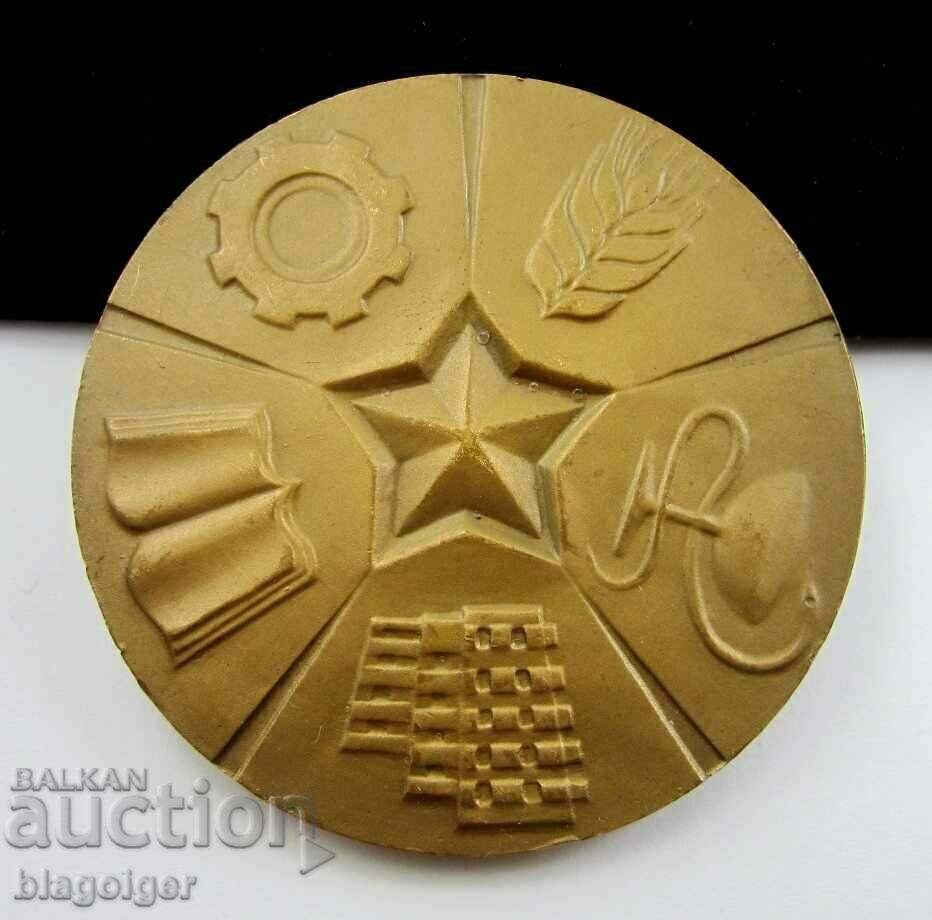 For services to the people's councils-Pazardzhik-Sots-Plaket-Medal - 6 For services to the people's councils-Pazardzhik-Sots-Plaket-Medal - 6