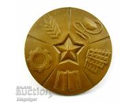 За заслуги към народните съвети-Пазарджик-Соц-Плакет-Медал