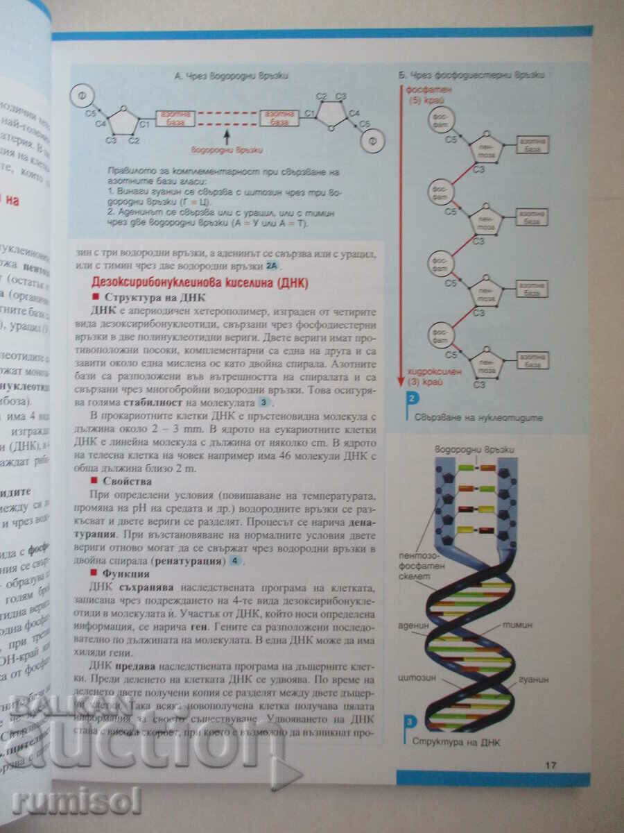 Biologie și educație pentru sănătate pentru clasa a IX-a - Profesor 6 cu preț 9.79 BGN | € 5.01 Biologie și educație pentru sănătate pentru clasa a IX-a - Profesor 6 cu preț 9.79 BGN | € 5.01