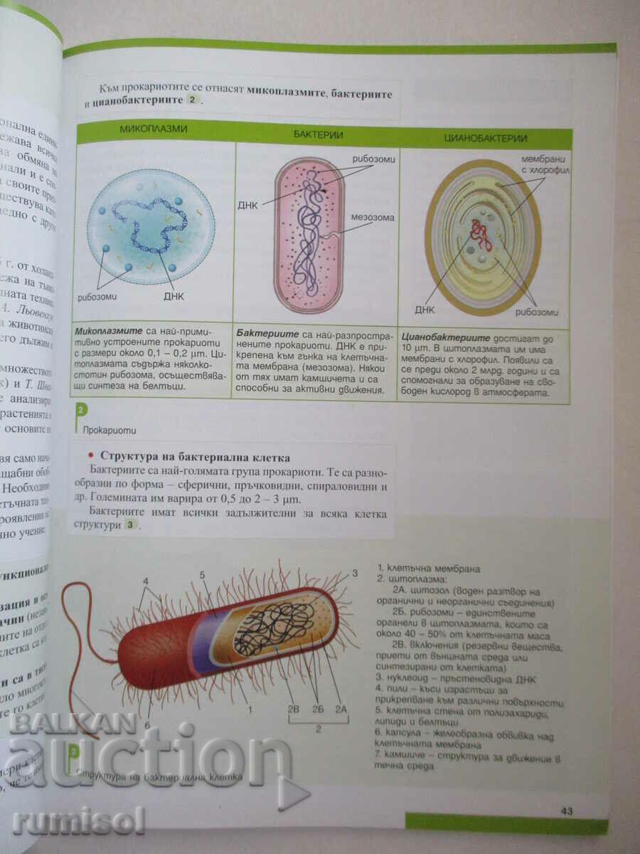 Licitație Biologie și educație pentru sănătate pentru clasa a IX-a - Profesor 6 Licitație Biologie și educație pentru sănătate pentru clasa a IX-a - Profesor 6