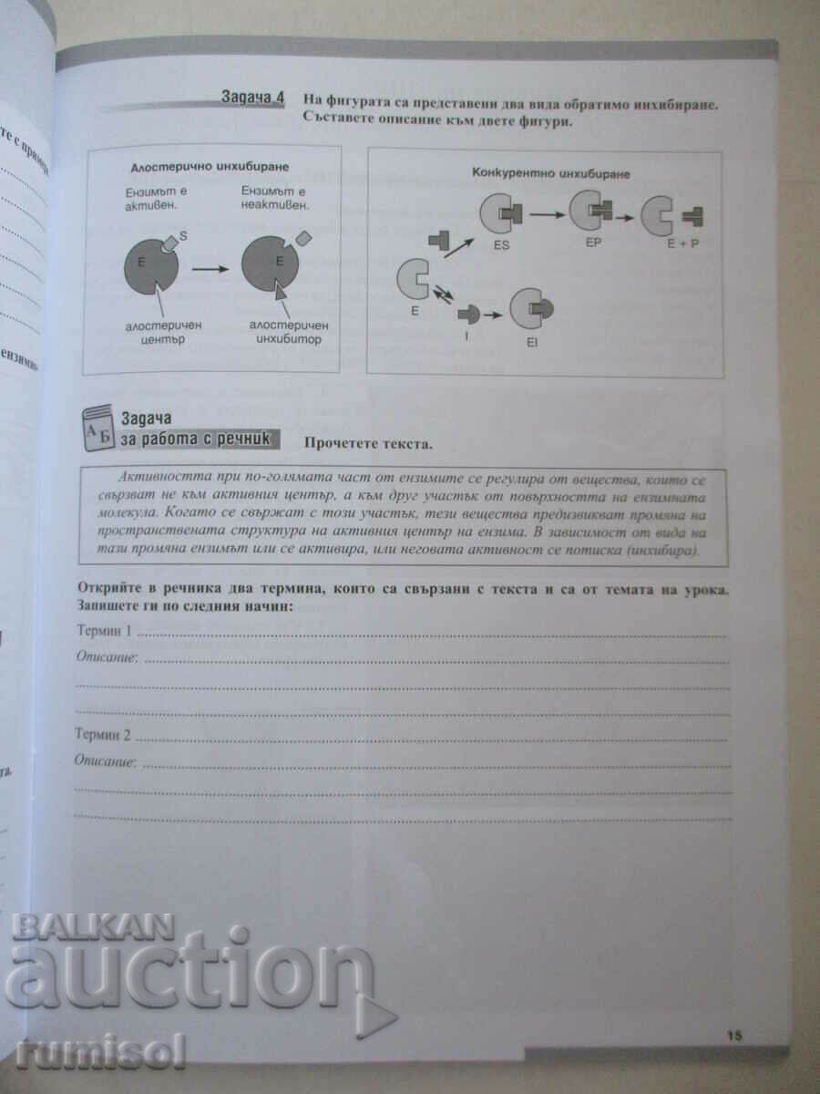 Auction Worksheets in Biology - 9th grade - Teacher 6 Auction Worksheets in Biology - 9th grade - Teacher 6