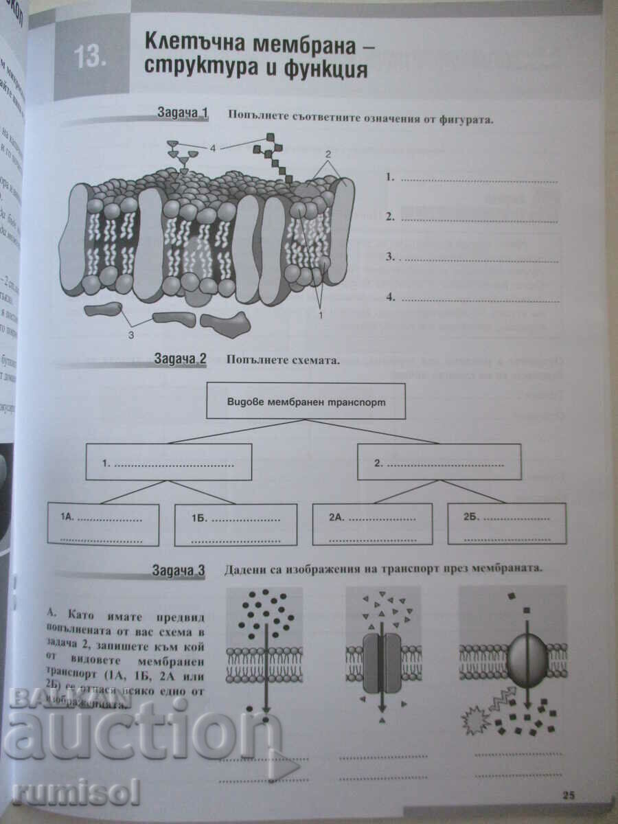 Delivery of Worksheets in Biology - 9th grade - Teacher 6 Delivery of Worksheets in Biology - 9th grade - Teacher 6