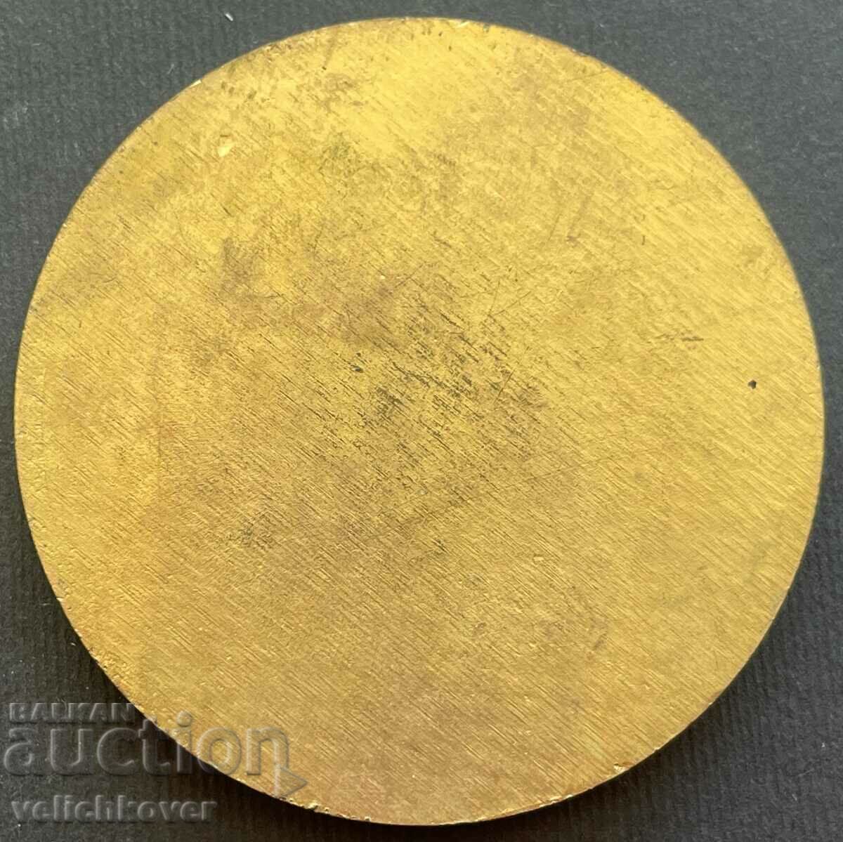 35082 България плакет БНА Българска народна армия с цена 25.00 лв. | € 12.78 35082 България плакет БНА Българска народна армия с цена 25.00 лв. | € 12.78