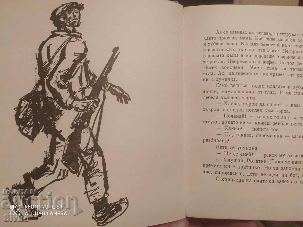 Auction Zamfirka, Vanya Filipova, illustrations Auction Zamfirka, Vanya Filipova, illustrations