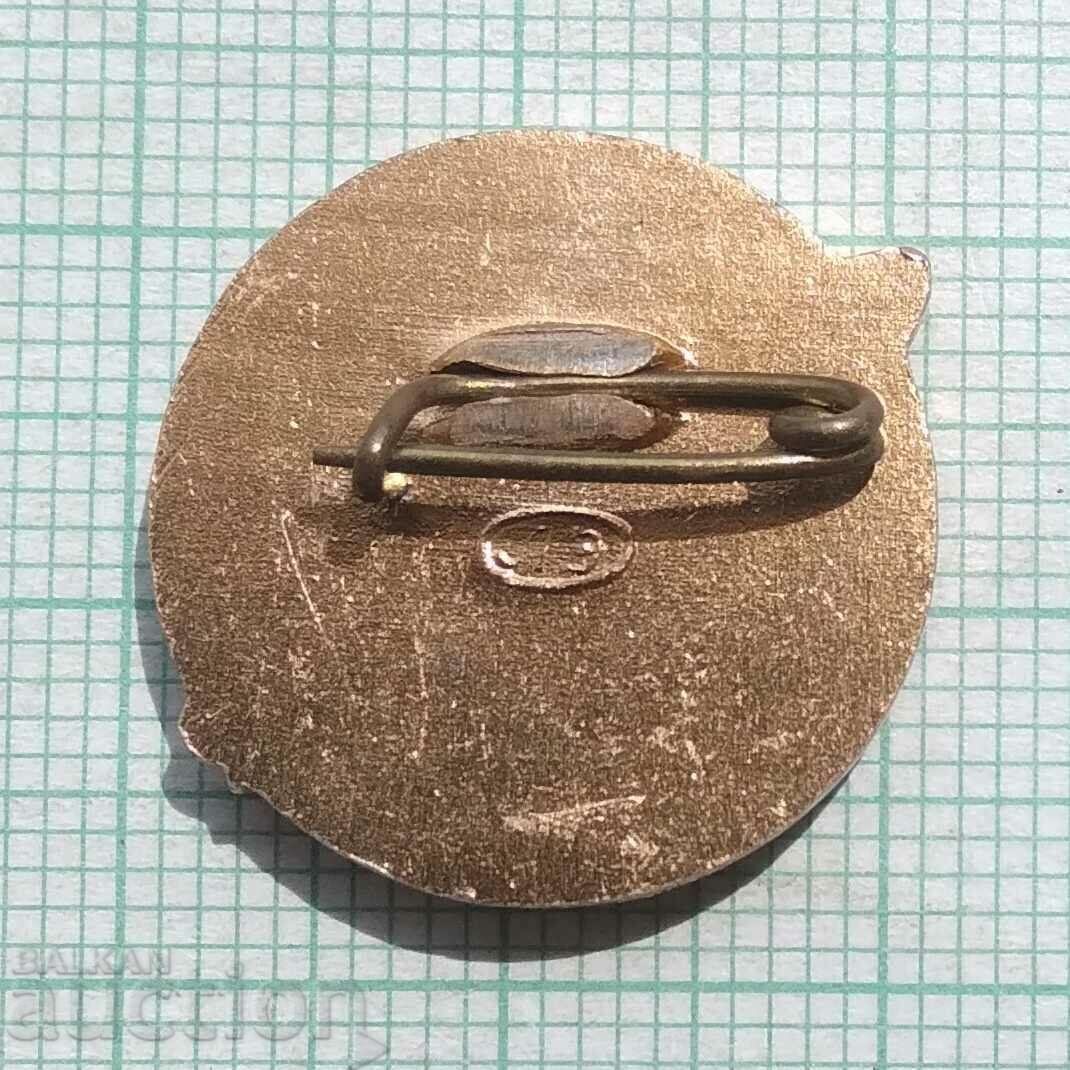 Auction 13433 Badge - Aviation USSR Airplane TU-104 Auction 13433 Badge - Aviation USSR Airplane TU-104