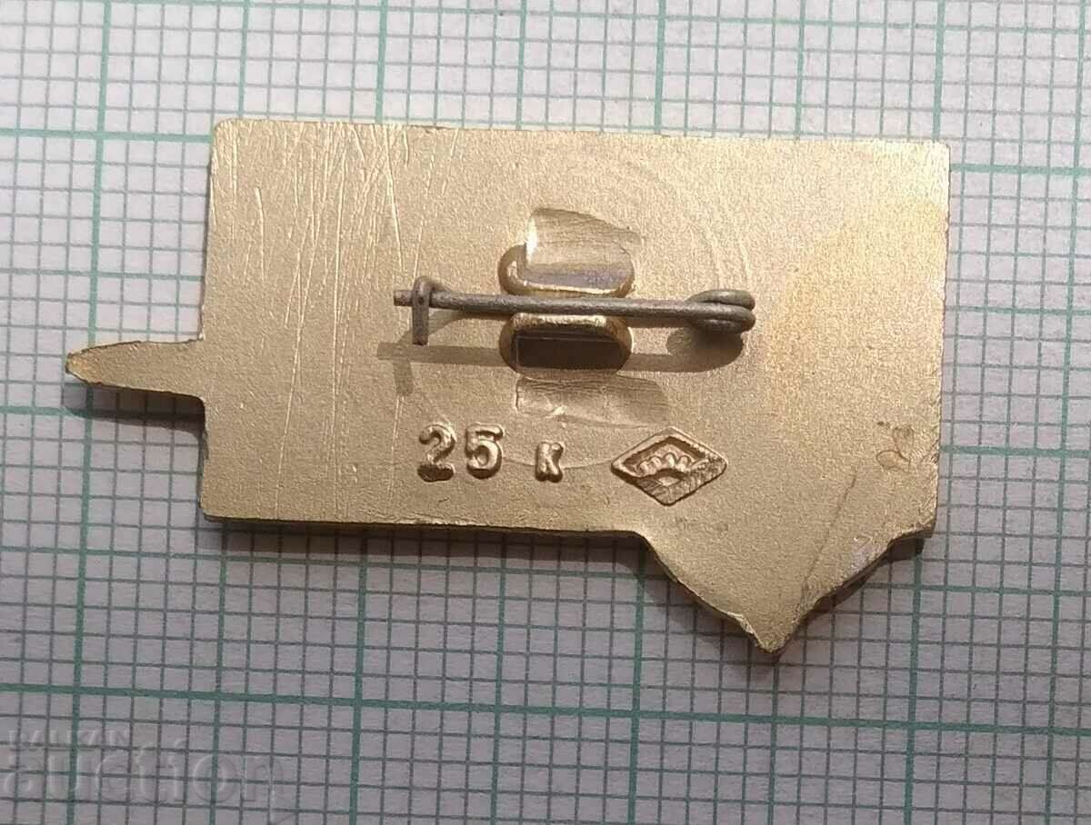 Auction 13443 Badge - Aviation USSR Airplane TU Auction 13443 Badge - Aviation USSR Airplane TU