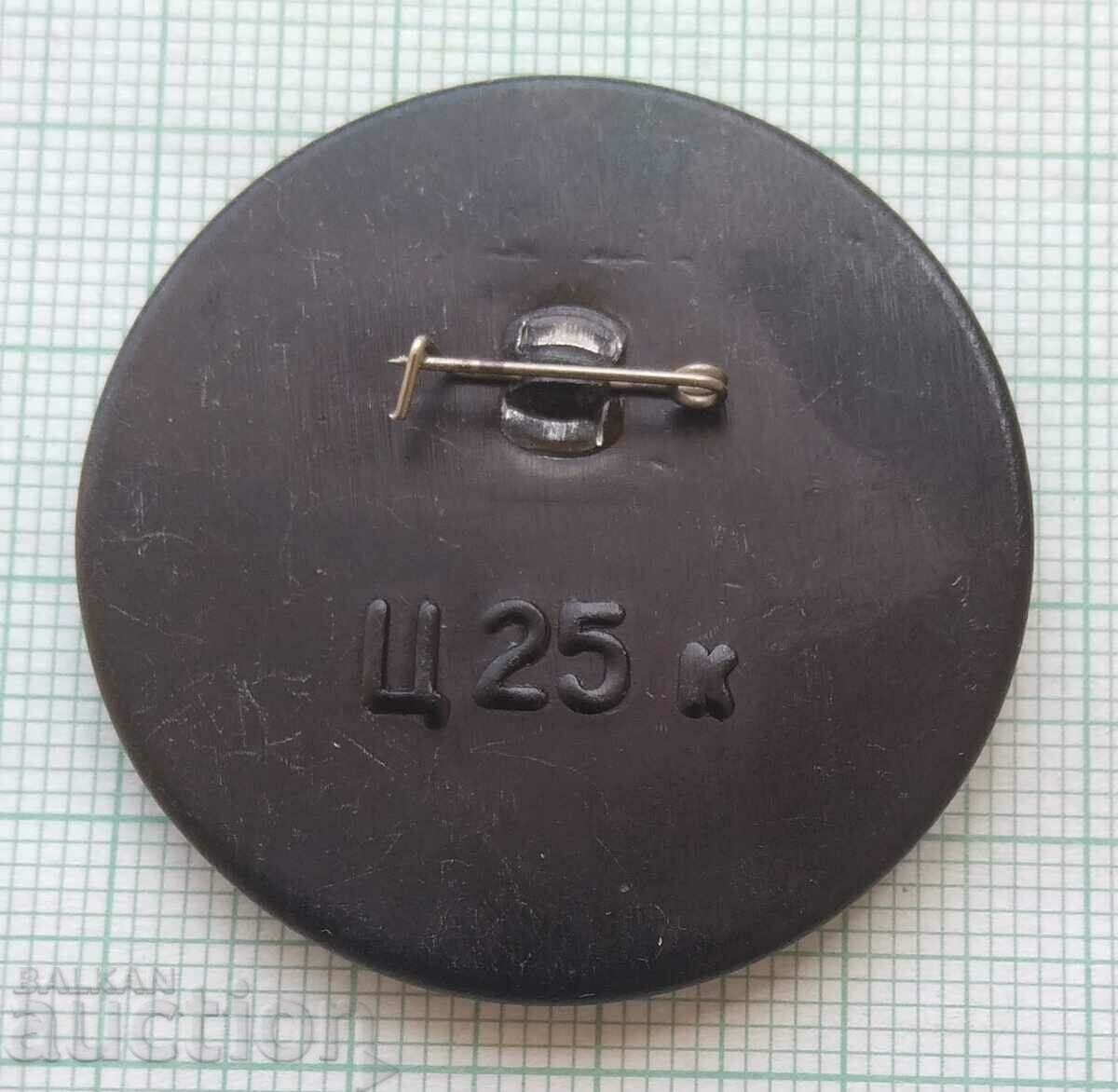 Auction  13444 Badge - USSR Aviation TU-154 aircraft