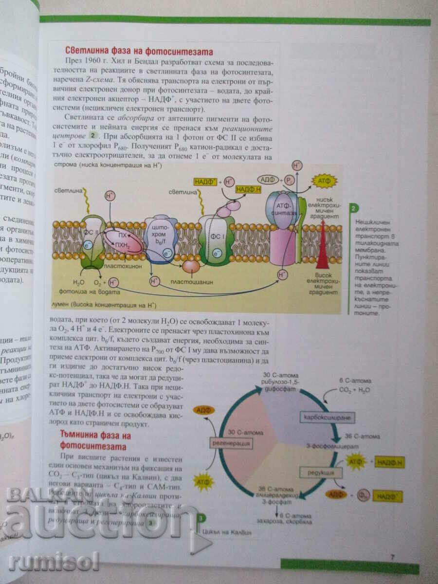 Auction Biology and others. education -11 kl-PP: Module 2 - topics 3 and 4 Auction Biology and others. education -11 kl-PP: Module 2 - topics 3 and 4