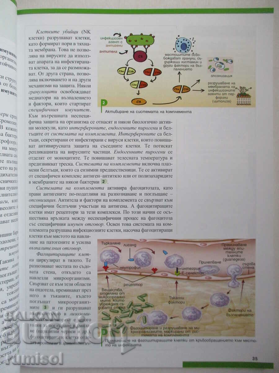 Biology and others. education -11 kl-PP: Module 2 - topics 3 and 4 - 5 Biology and others. education -11 kl-PP: Module 2 - topics 3 and 4 - 5