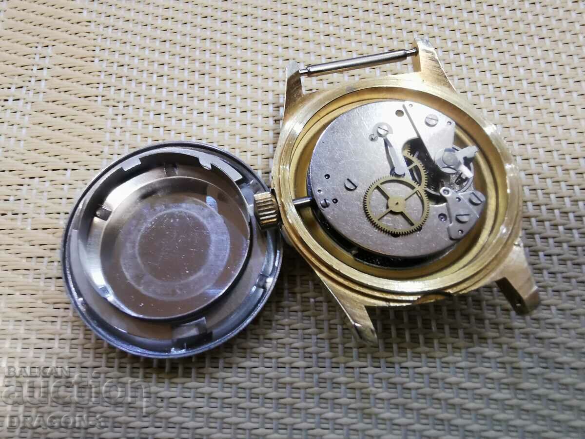 Delivery of GOLDEN MEISTER ANCER Delivery of GOLDEN MEISTER ANCER