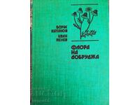 Flora of Dobruja / Boris Kitanov