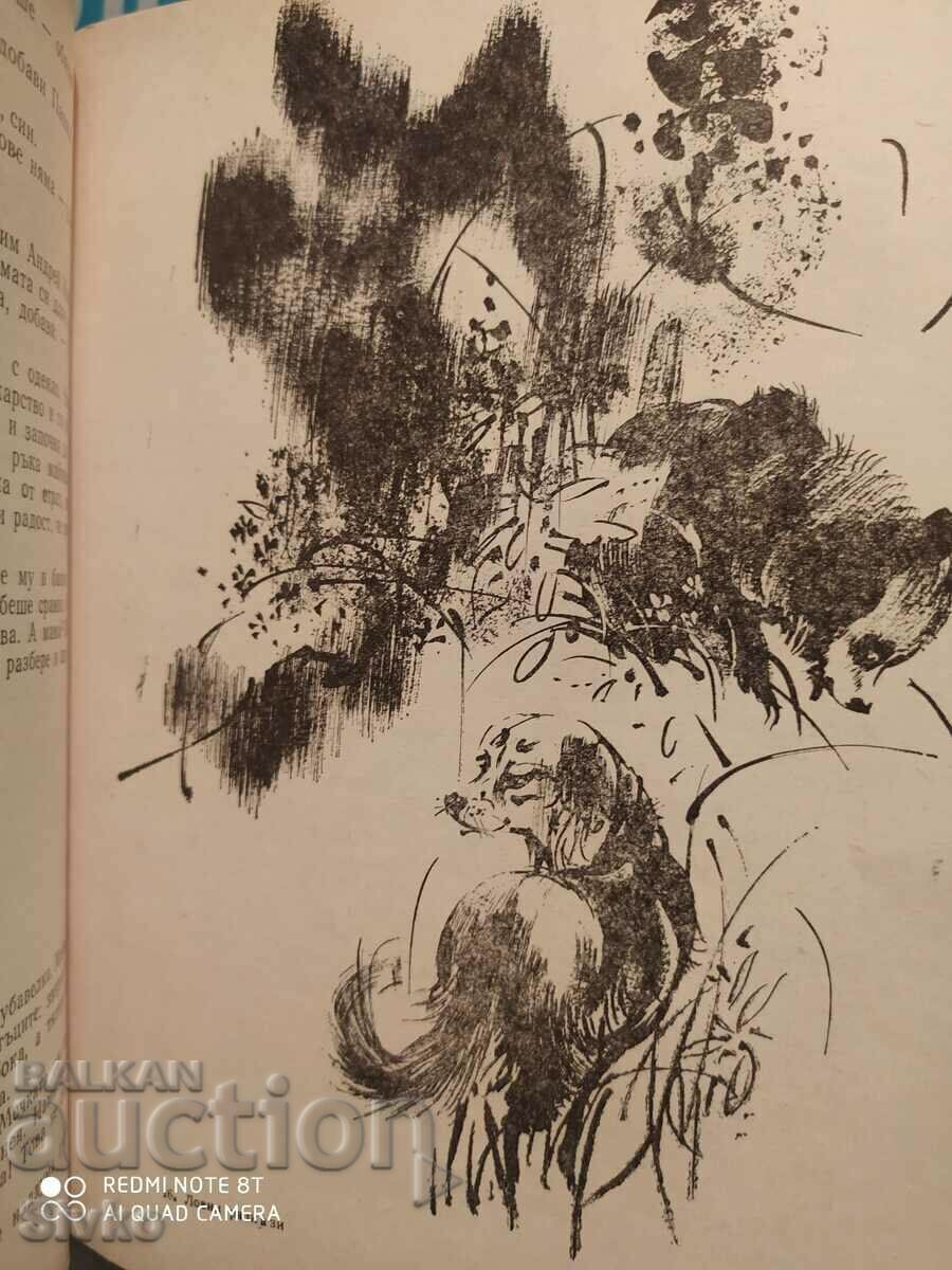 Auction Hunting Tales, Collection, Illustrations, First Edition Auction Hunting Tales, Collection, Illustrations, First Edition