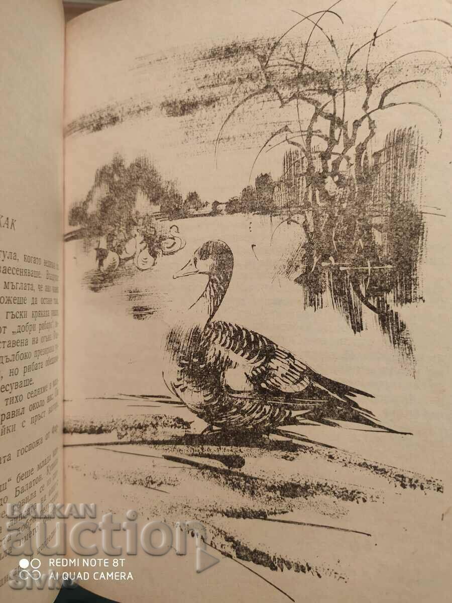 Delivery of Hunting Tales, Collection, Illustrations, First Edition Delivery of Hunting Tales, Collection, Illustrations, First Edition