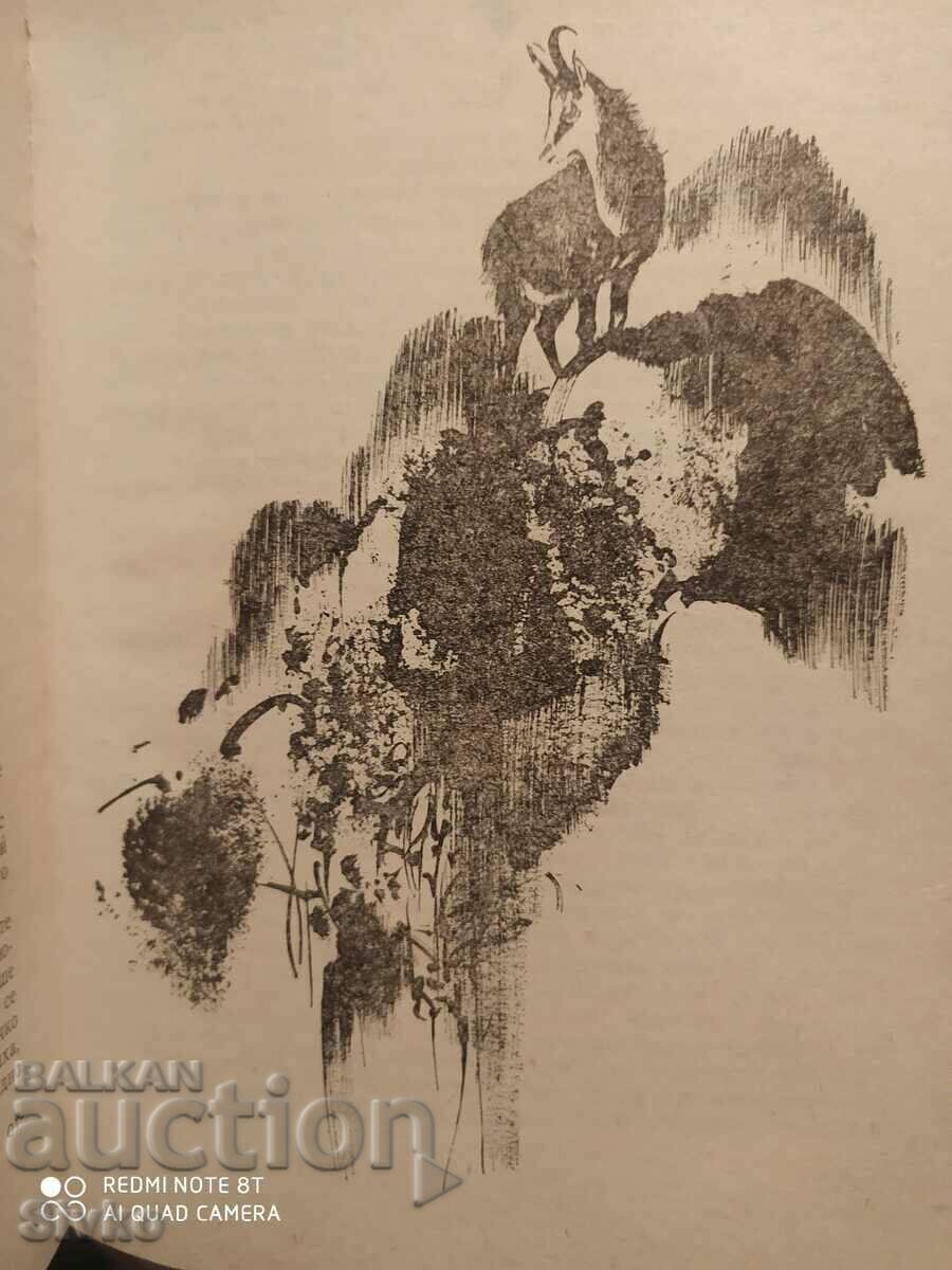 Hunting Tales, Collection, Illustrations, First Edition - 6 Hunting Tales, Collection, Illustrations, First Edition - 6