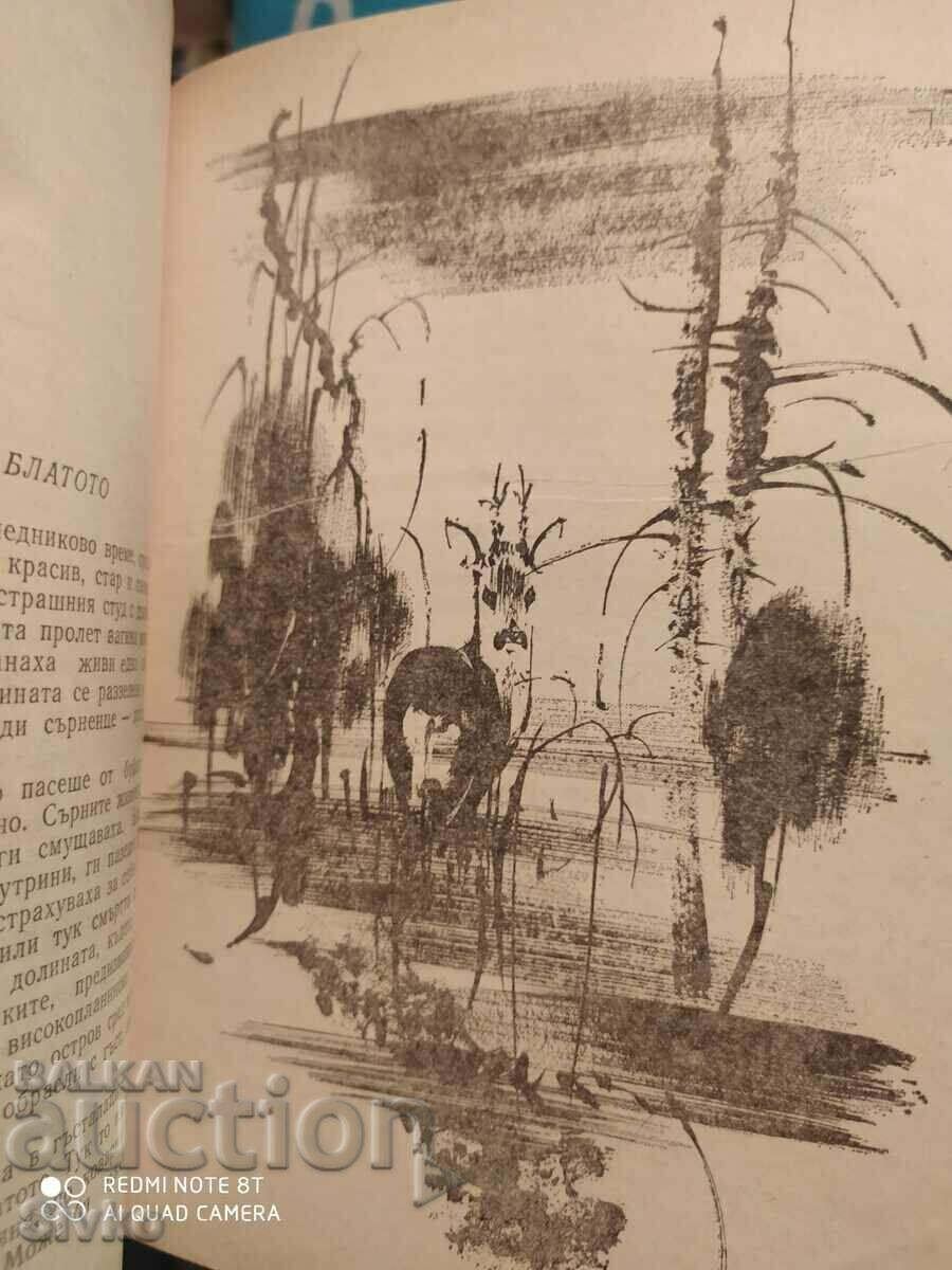 Hunting Tales, Collection, Illustrations, First Edition - 7 Hunting Tales, Collection, Illustrations, First Edition - 7