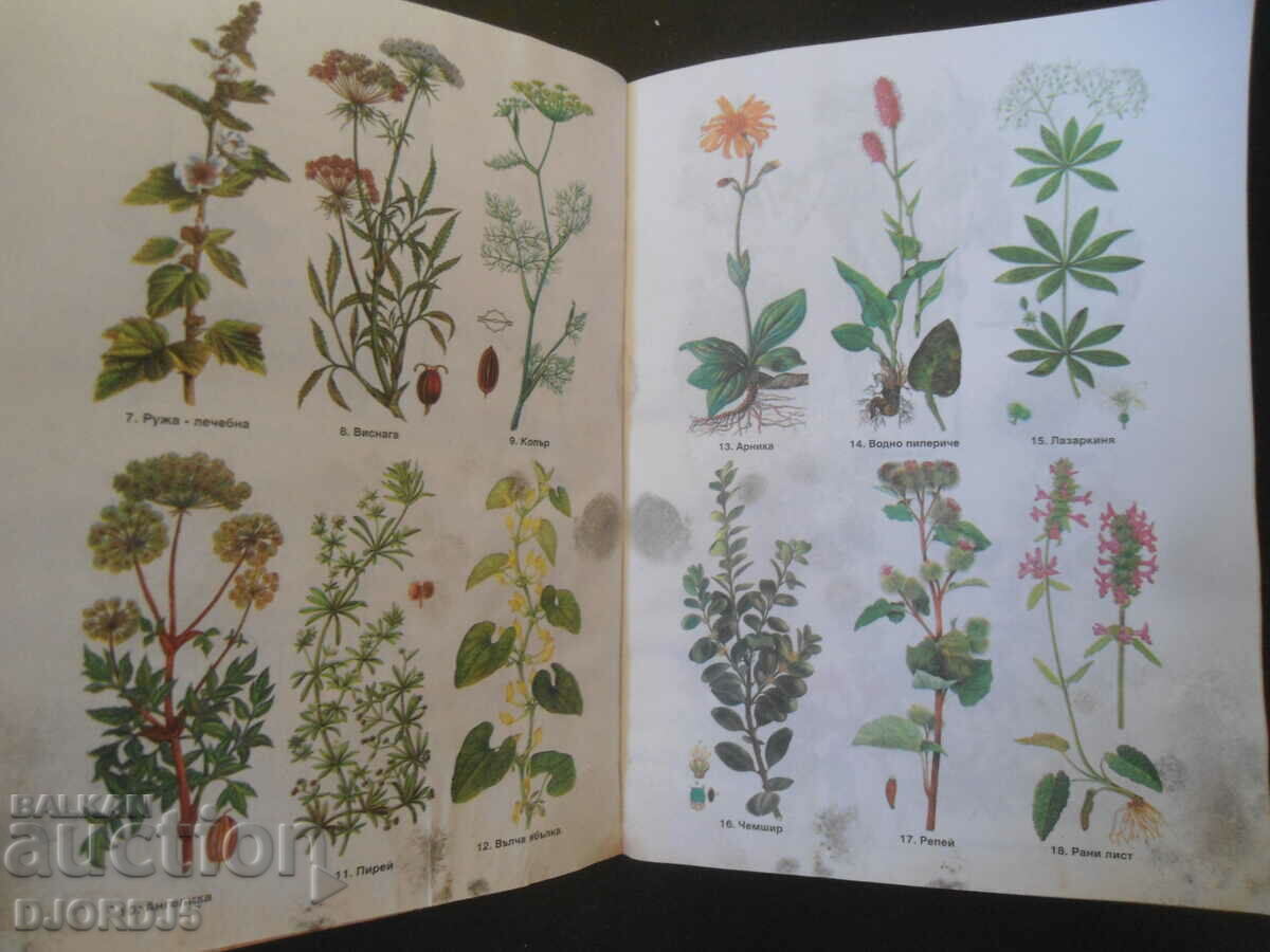 Herbs, recipes, herbal medicine with price 3.00 BGN | € 1.53 Herbs, recipes, herbal medicine with price 3.00 BGN | € 1.53
