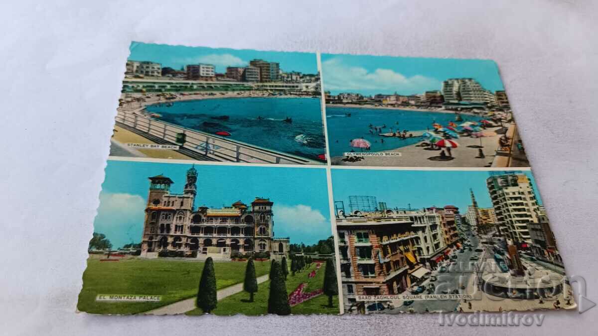 Пощенска картичка Alexandria Колаж