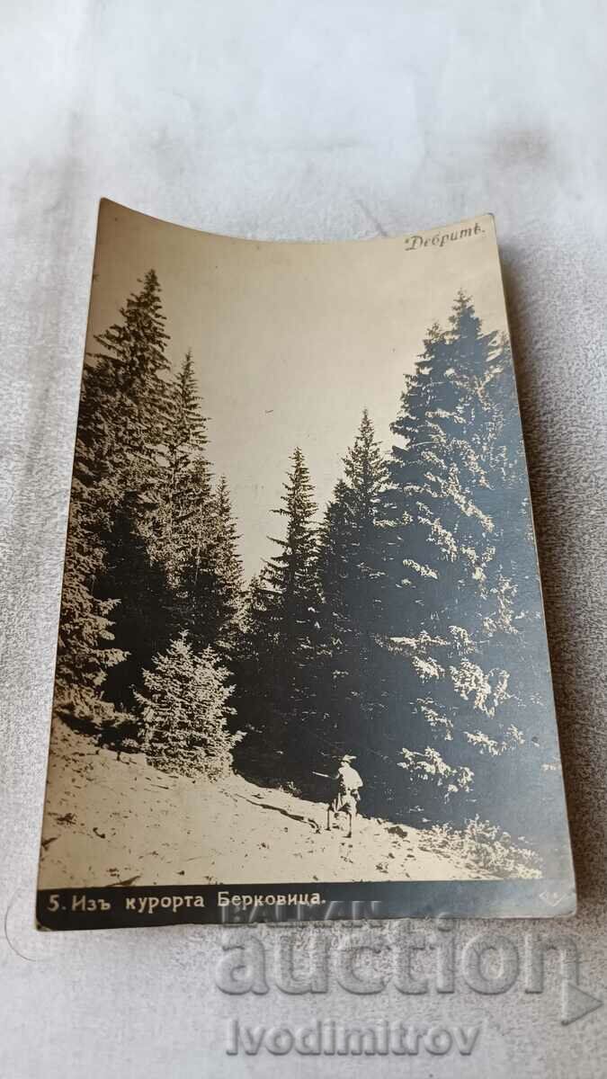 Postcard Through the resort of Berkovitsa Debrite 1930