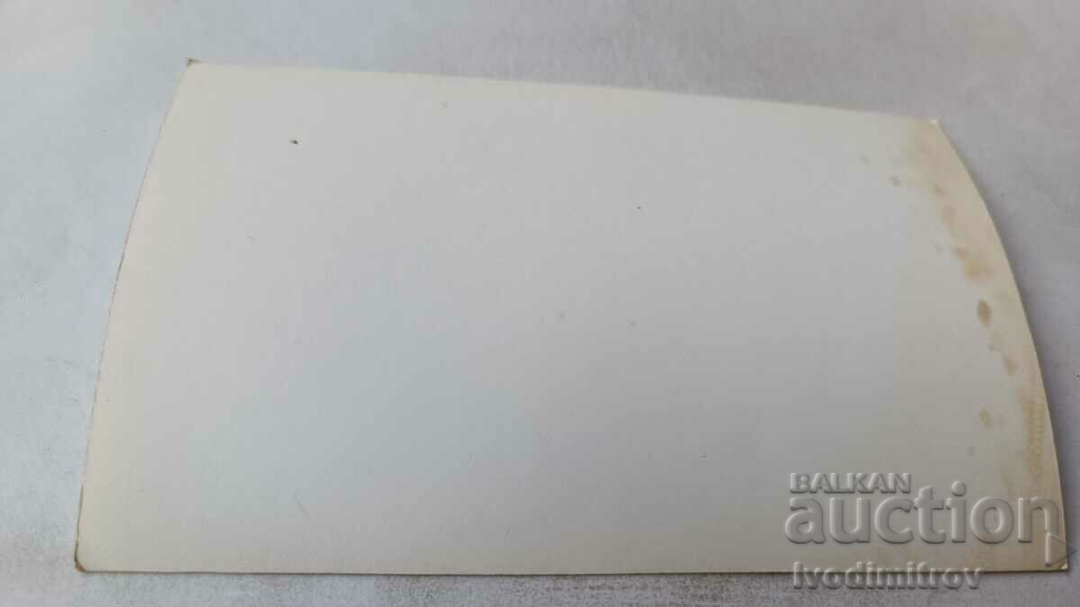 Photo Wolf dog breed with price 1.75 BGN | € 0.89 Photo Wolf dog breed with price 1.75 BGN | € 0.89