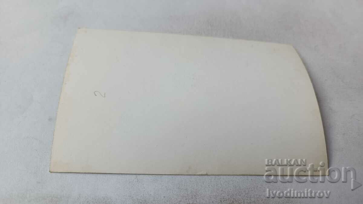 Photo A young man and a wolf dog with price 1.75 BGN | € 0.89 Photo A young man and a wolf dog with price 1.75 BGN | € 0.89