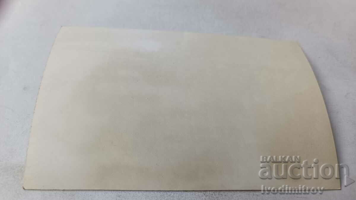 Photo Wolf dog breed with price 1.75 BGN | € 0.89 Photo Wolf dog breed with price 1.75 BGN | € 0.89