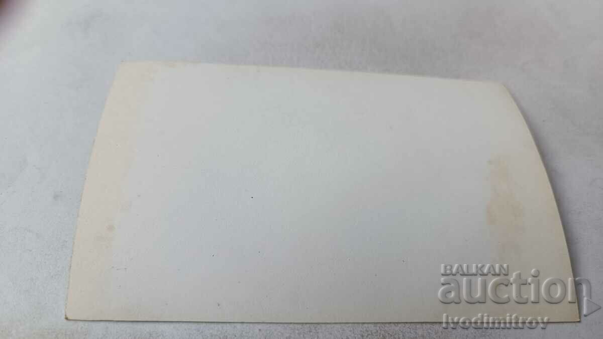 Photo Wolf dog breed with price 1.75 BGN | € 0.89 Photo Wolf dog breed with price 1.75 BGN | € 0.89