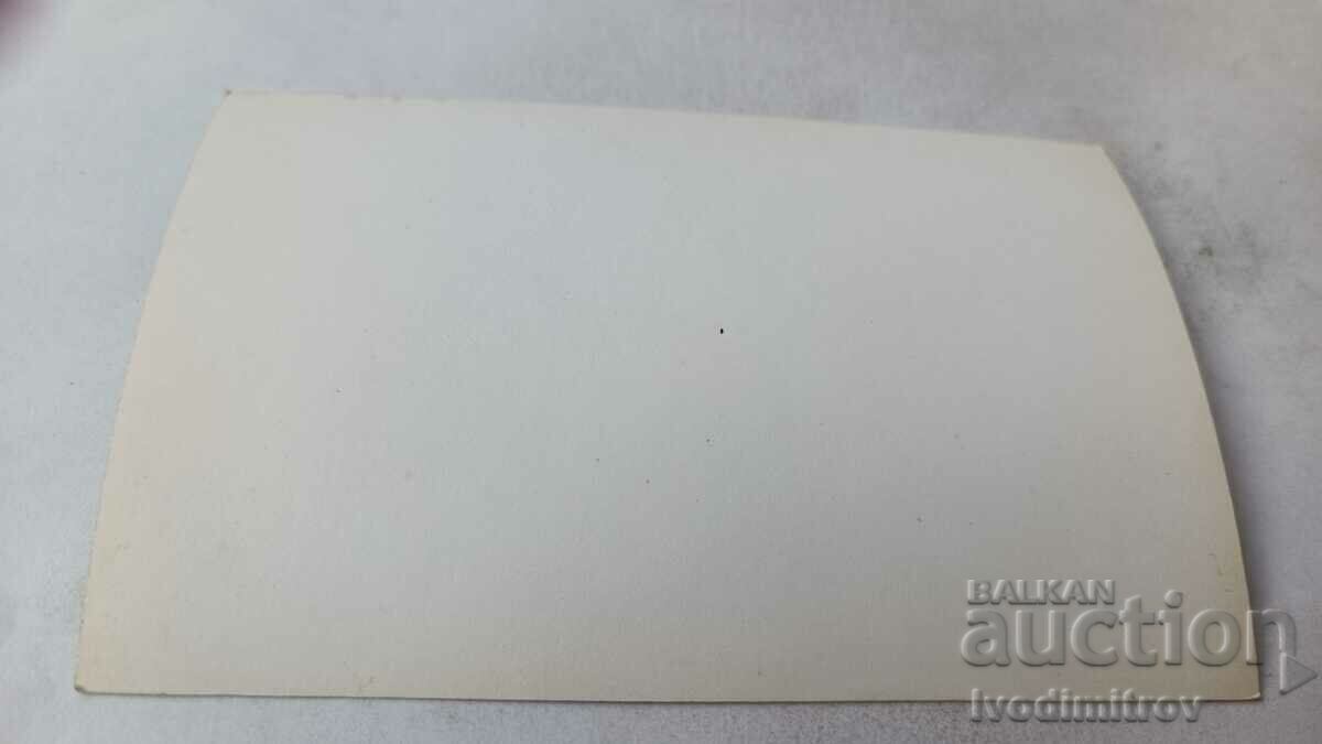 Photo Two young men and a wolf dog with price 1.75 BGN | € 0.89 Photo Two young men and a wolf dog with price 1.75 BGN | € 0.89