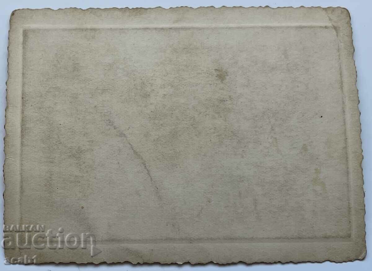 Roten Rota with price 9.99 BGN | € 5.11 Roten Rota with price 9.99 BGN | € 5.11