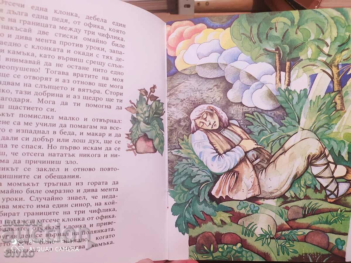 The Wise Counselor in the Pocket, Fr. R. Creutzwald with price 1.99 BGN | € 1.02 The Wise Counselor in the Pocket, Fr. R. Creutzwald with price 1.99 BGN | € 1.02